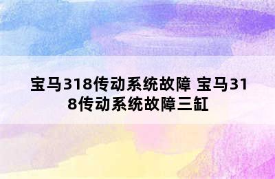 宝马318传动系统故障 宝马318传动系统故障三缸